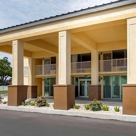 Quality Inn Saint Petersburg North-Tampa Bay Extérieur photo